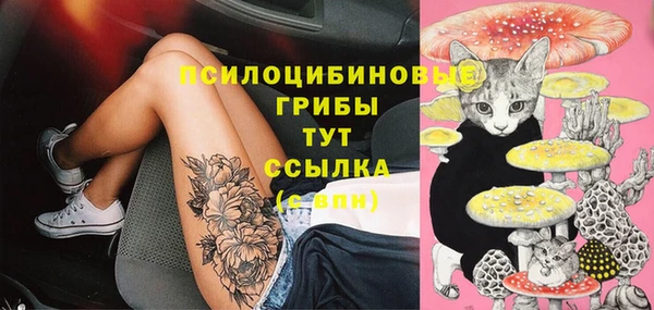 амф Лихославль
