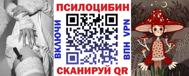 Купить закладки  Сасово  Псилоцибиновые грибы GOLDEN TEACHER 